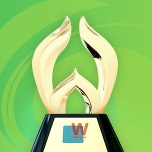 theOrigo named Outstanding Web Developer and wins 6 Awards of WebAward